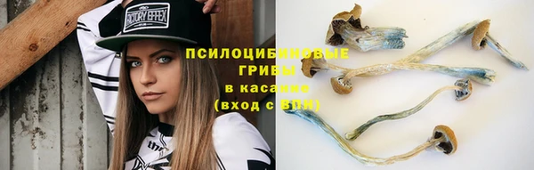 твердый Алексин