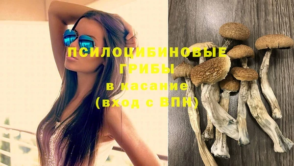 твердый Алексин